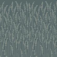 Feather Grass 5108