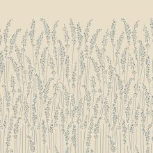 Feather Grass 5109
